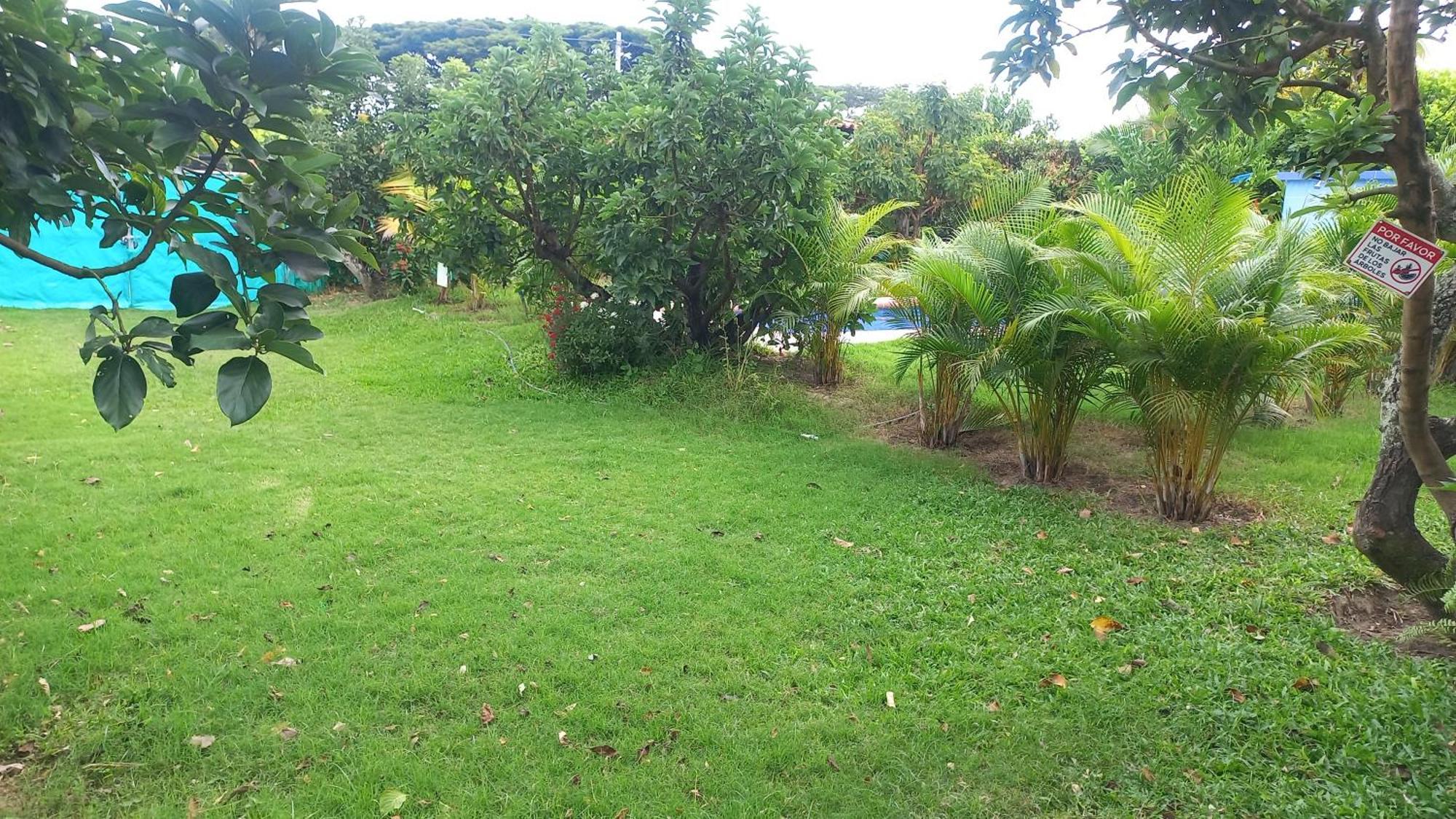 Las Orquideas Rozo Buitenkant foto